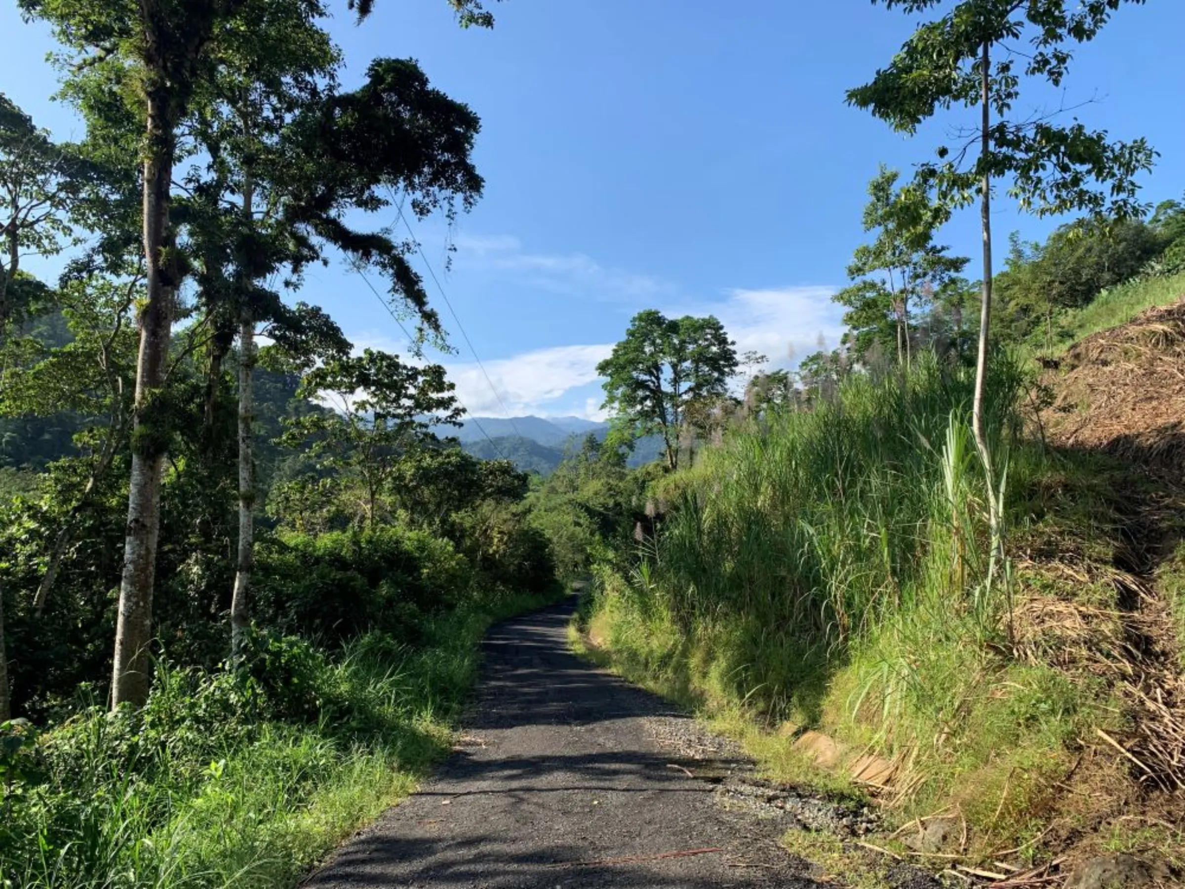A trail leading up into the Cordillera de Talamanca mountain range pictured near El Silencio, Costa Rica, November 9 2022. The small community of Las Brisas lies on the 174-mile Camino de Costa Rica footpath, that starts in Barra de Pacuare and finishes in Quepos, on the Pacific