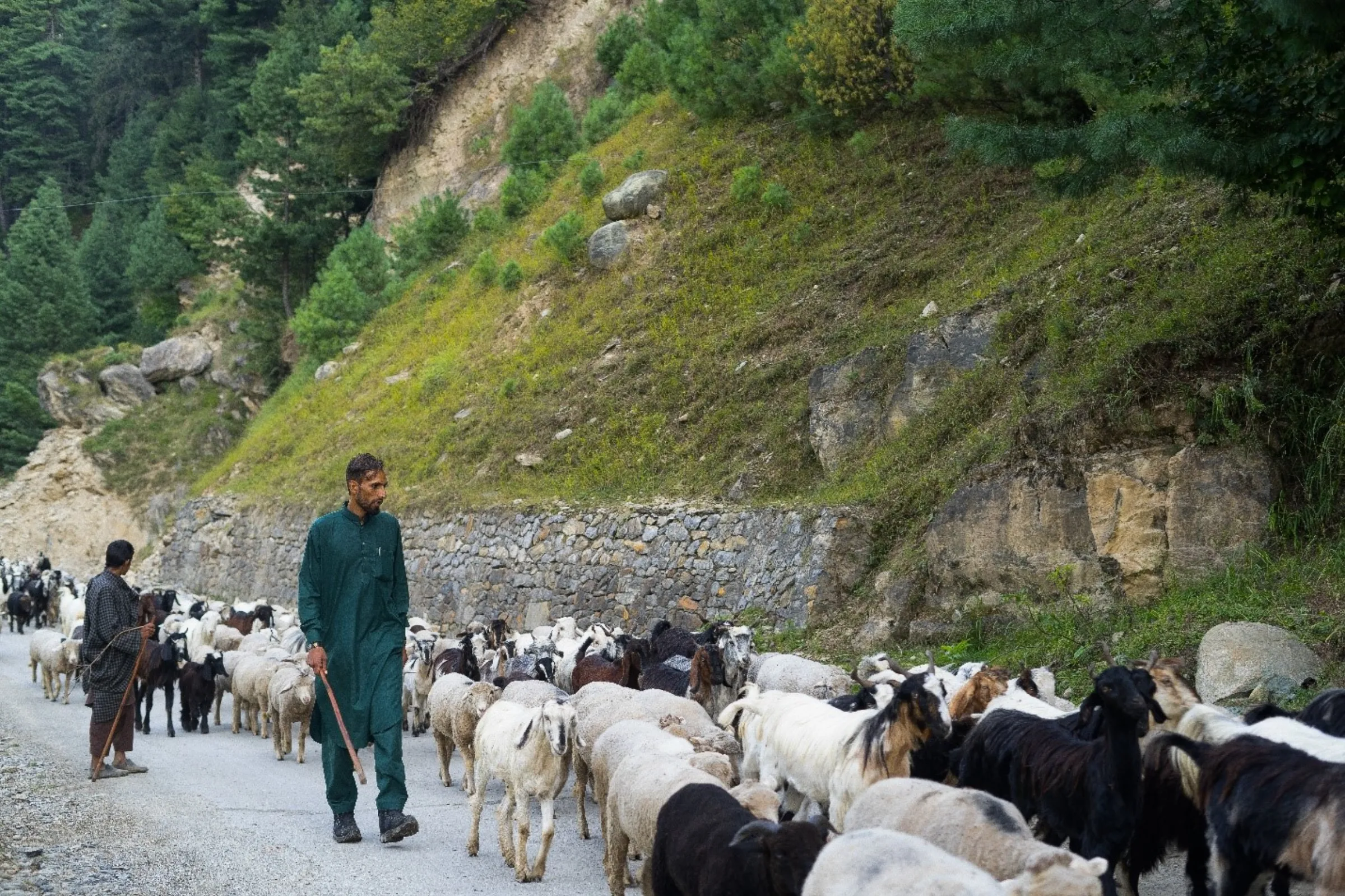 A group of nomads trek down from the hills of Aru Valley, where many have lost livestock to extreme cold and sudden rainstorms, in Jammu and Kashmir, India, Sept. 14, 2022