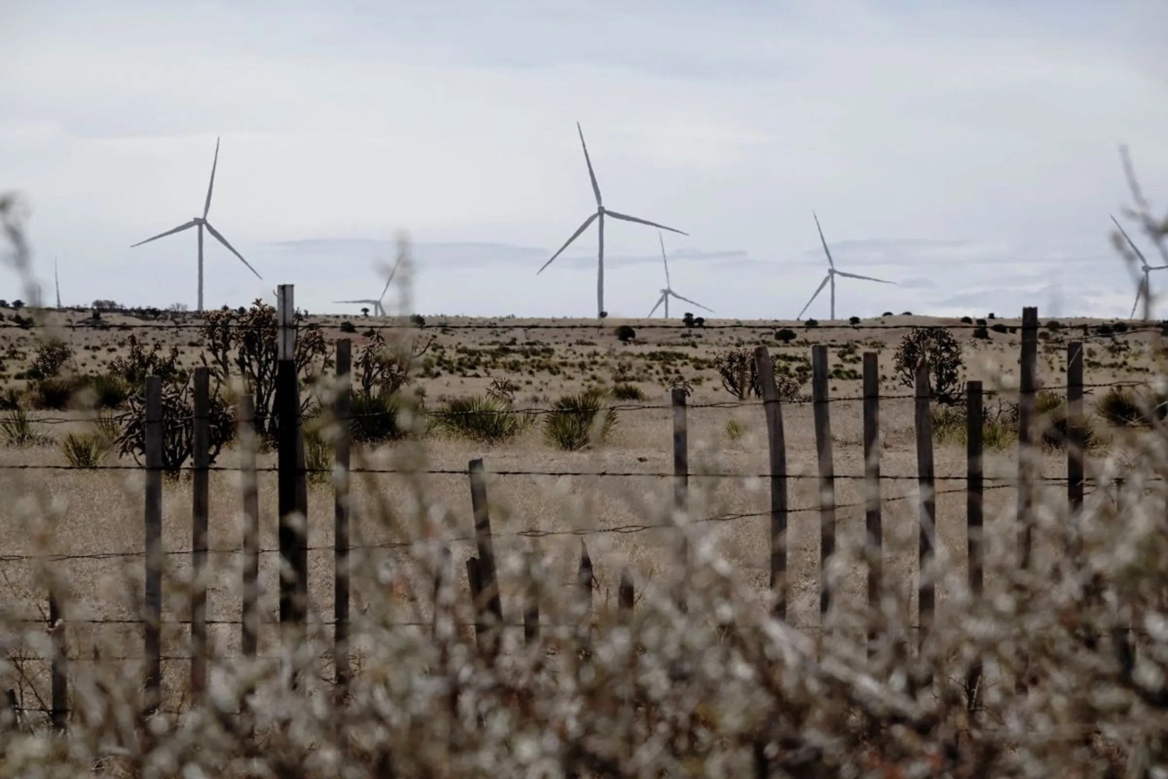 A general view of GE Renewable Energy wind turbines at the 324MW Clines Corner Wind Farm near Encino, New Mexico, U.S., March 15, 2023. REUTERS/Bing Guan