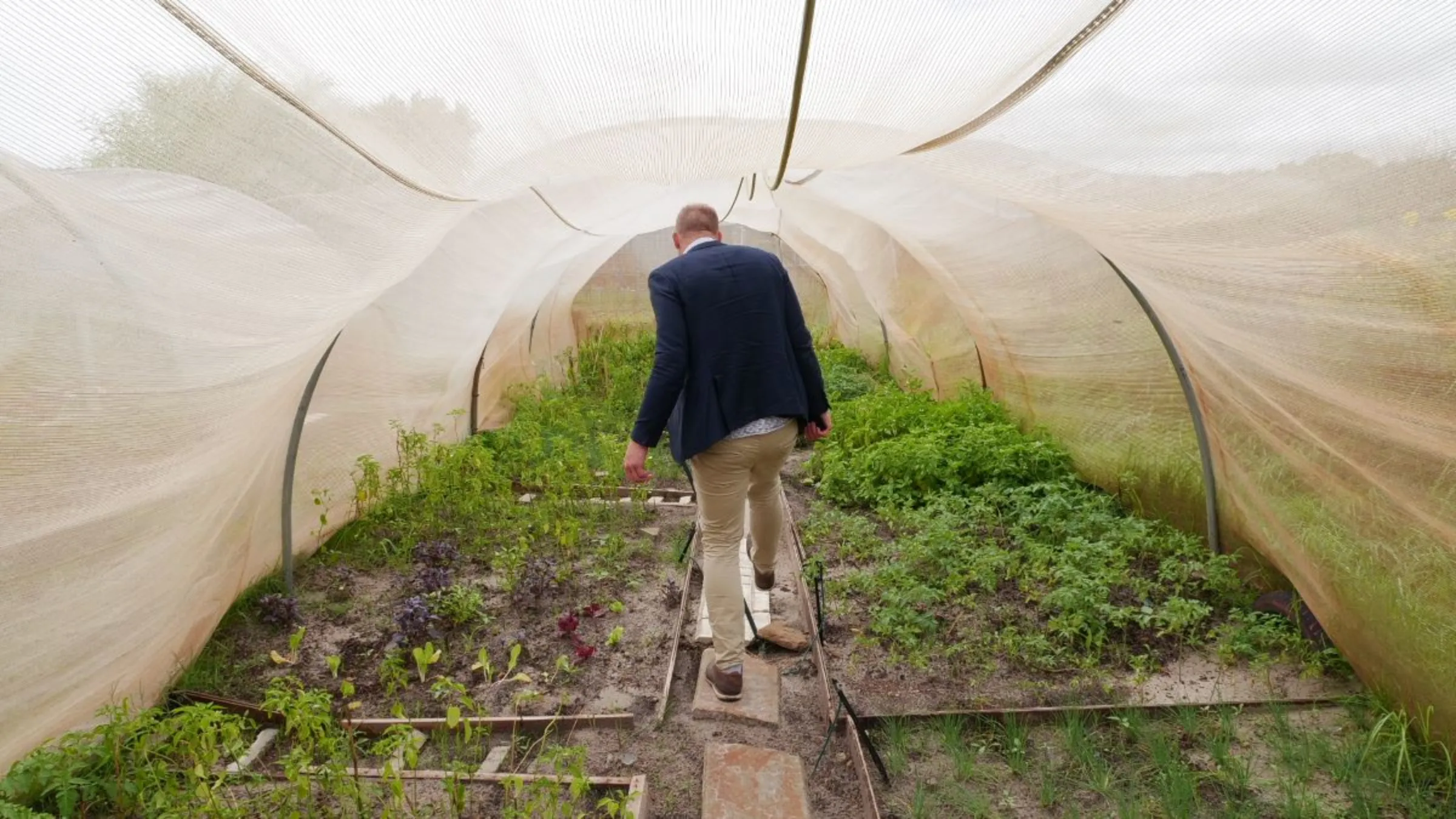 Gavin Francis, who helps teach former gangsters how to farm, walks through a vegetable tunnel set up outside a drug rehabilitation facility in Cape Town, South Africa, March 9, 2023. Thomson Reuters Foundation/Kim Harrisberg