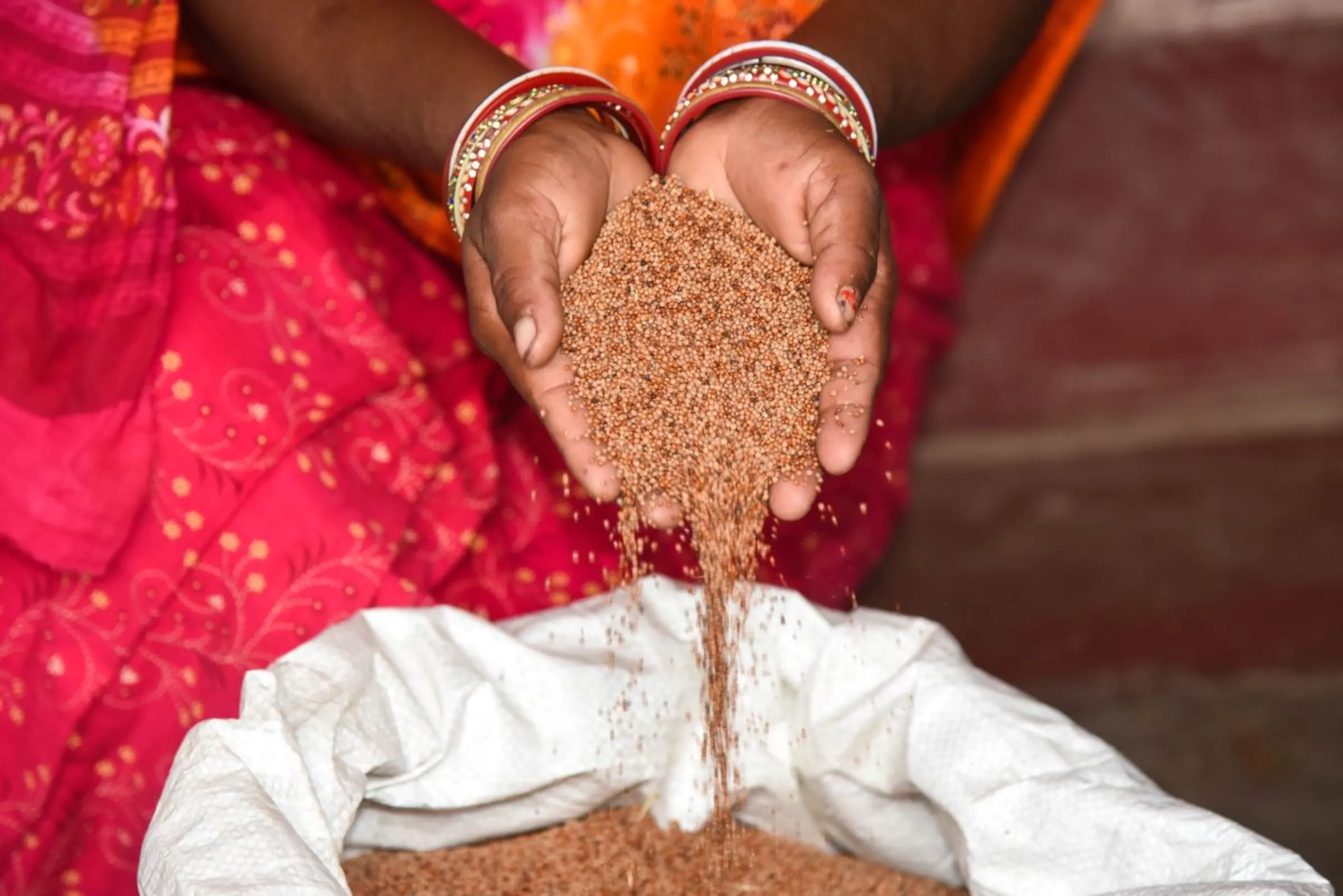 Farmer Sanjulata Mahanta shows her millet harvest in Kaurikala village, India, on July 12, 2023. Thomson Reuters Foundation/Tanmoy Bhaduri