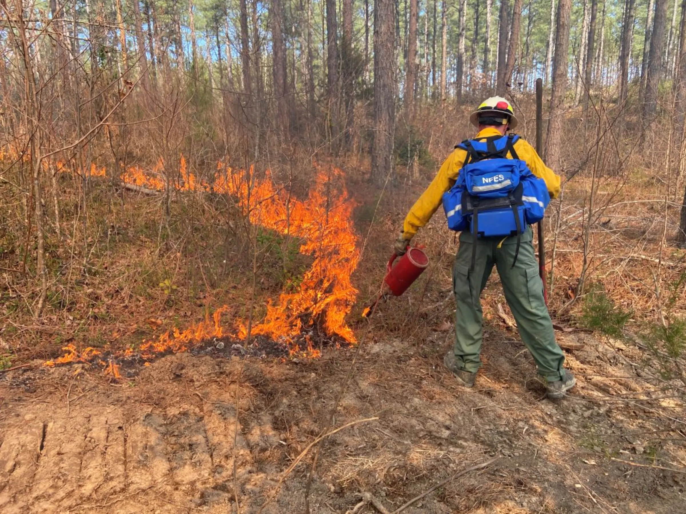 A member of a Virginia Department of Forestry team ignites part of a controlled burn in King William County, Virginia, USA, March 9, 2023. Thomson Reuters Foundation/David Sherfinski.