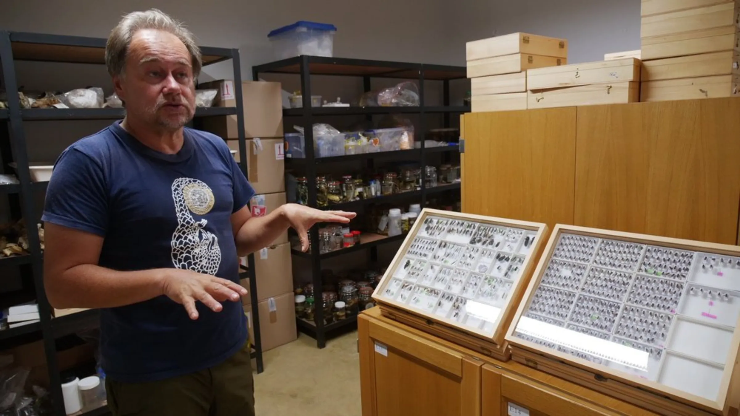 Piotr Naskrecki, associate director of Gorongosa National Park’s science labs, stands alongside pinned insects used for research at the Mozambique park, May 22, 2022