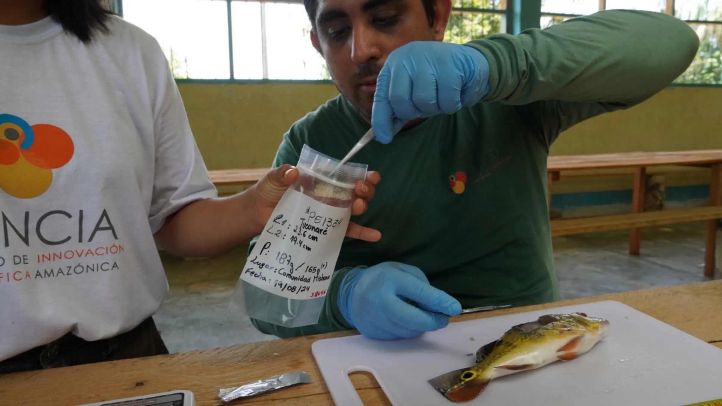 Biologists dissect samples of a fish caught in the Nanay River for mercury testing, Mishana, on the Nanay RIver, Loreto, Peru, August 18, 2024. Thomson Reuters Foundation/Dan Collyns