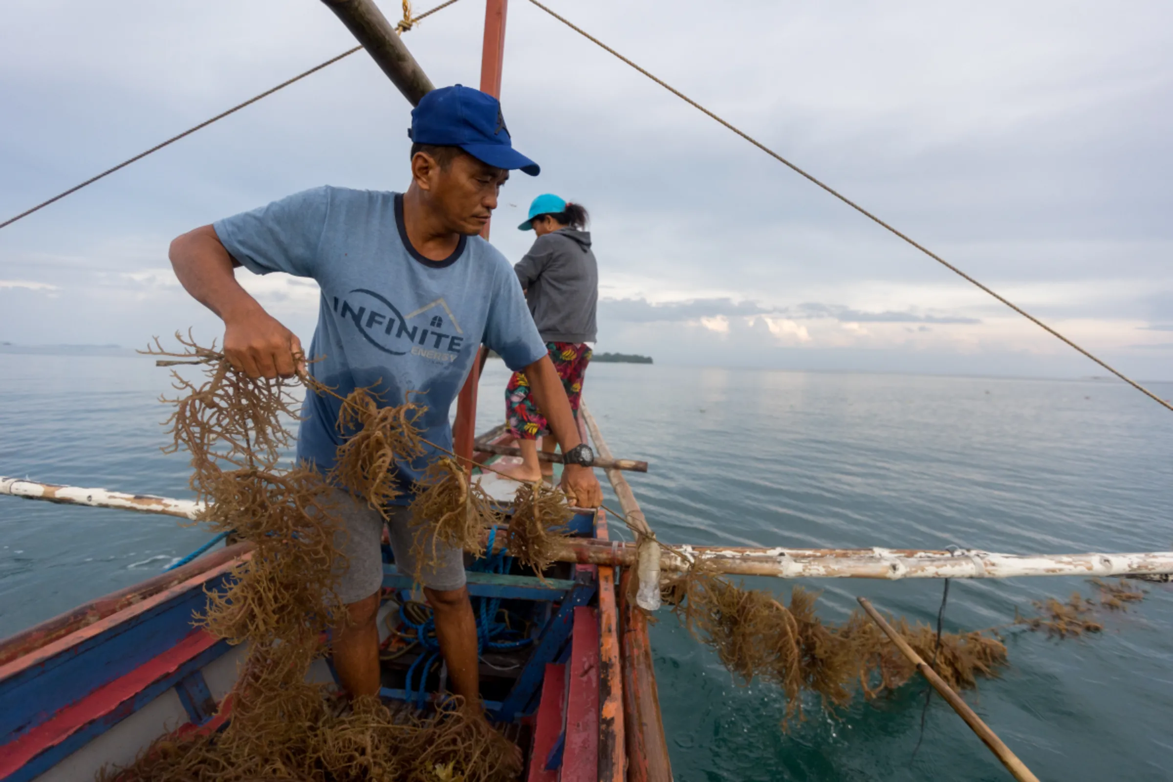 Members of the Cherish Fisherfolk Cooperative harvest seaweeds in Quezon, Palawan. June 5, 2023