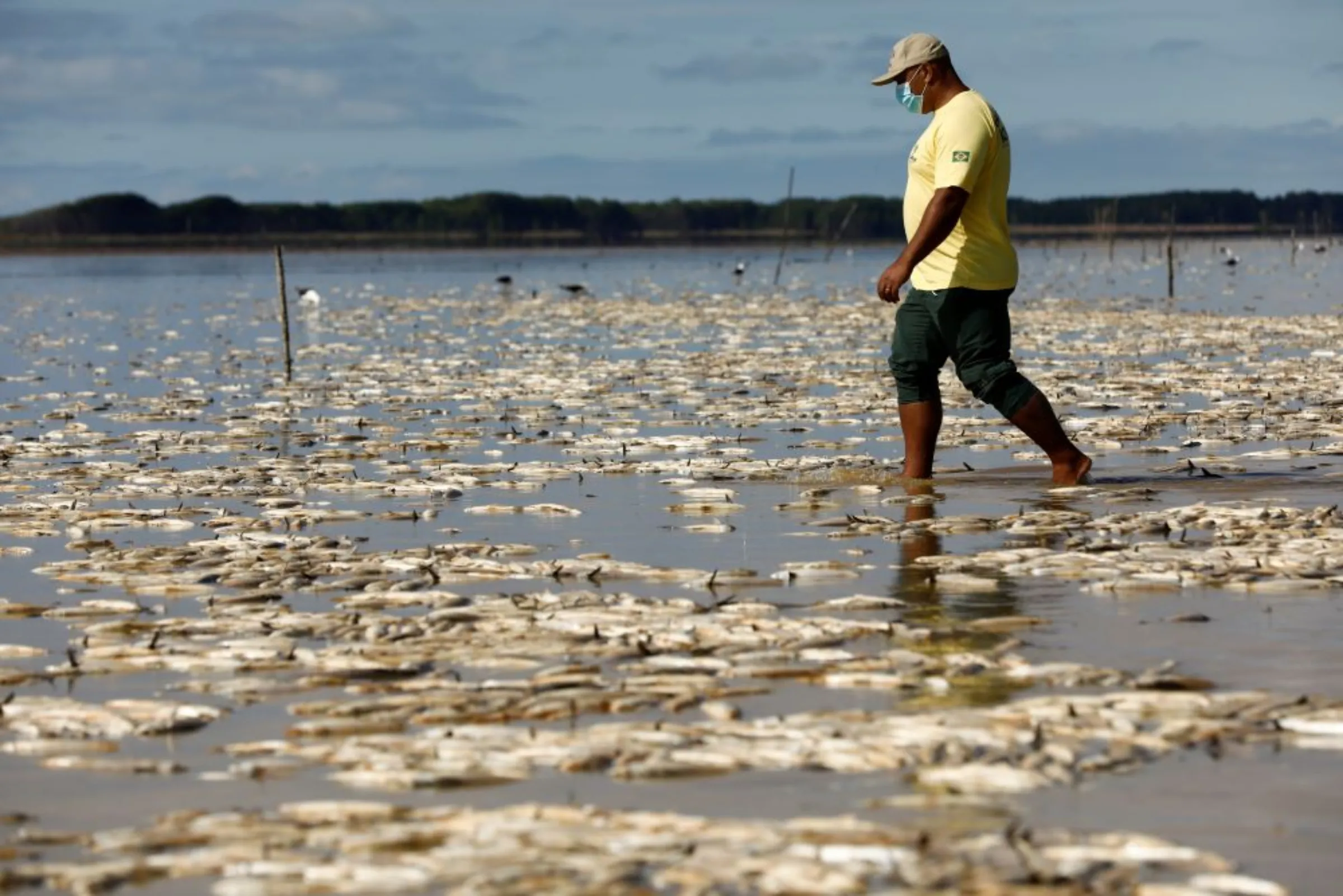A member of the Chico Mendes Institute for Biodiversity Conservation (ICMBio) walks amid dead fish at Lagoa do Peixe (Fish Lagoon) which was affected by drought in Tavares, Rio Grande do Sul state, Brazil February 6, 2022