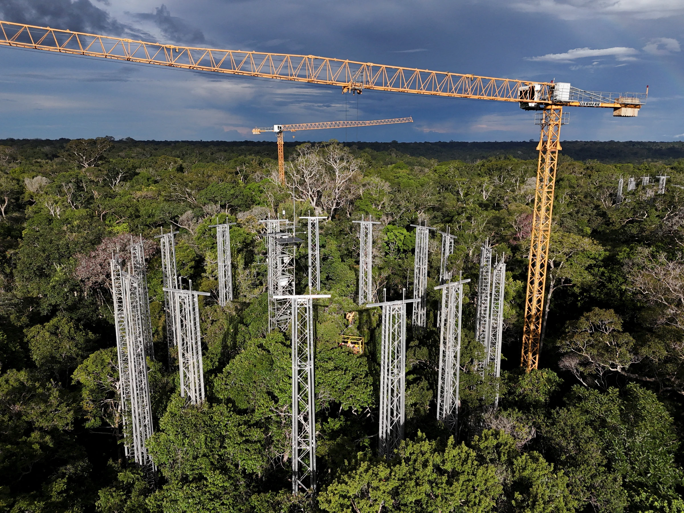 A drone towers where scientists have built a 'time machine' pumping carbon dioxide into the rainforest canopy to simulate atmospheric conditions predicted for the future to gauge how the biome adapts in Manaus, Amazonas state, Brazil, May 14, 2025. REUTERS/Bruno Kelly