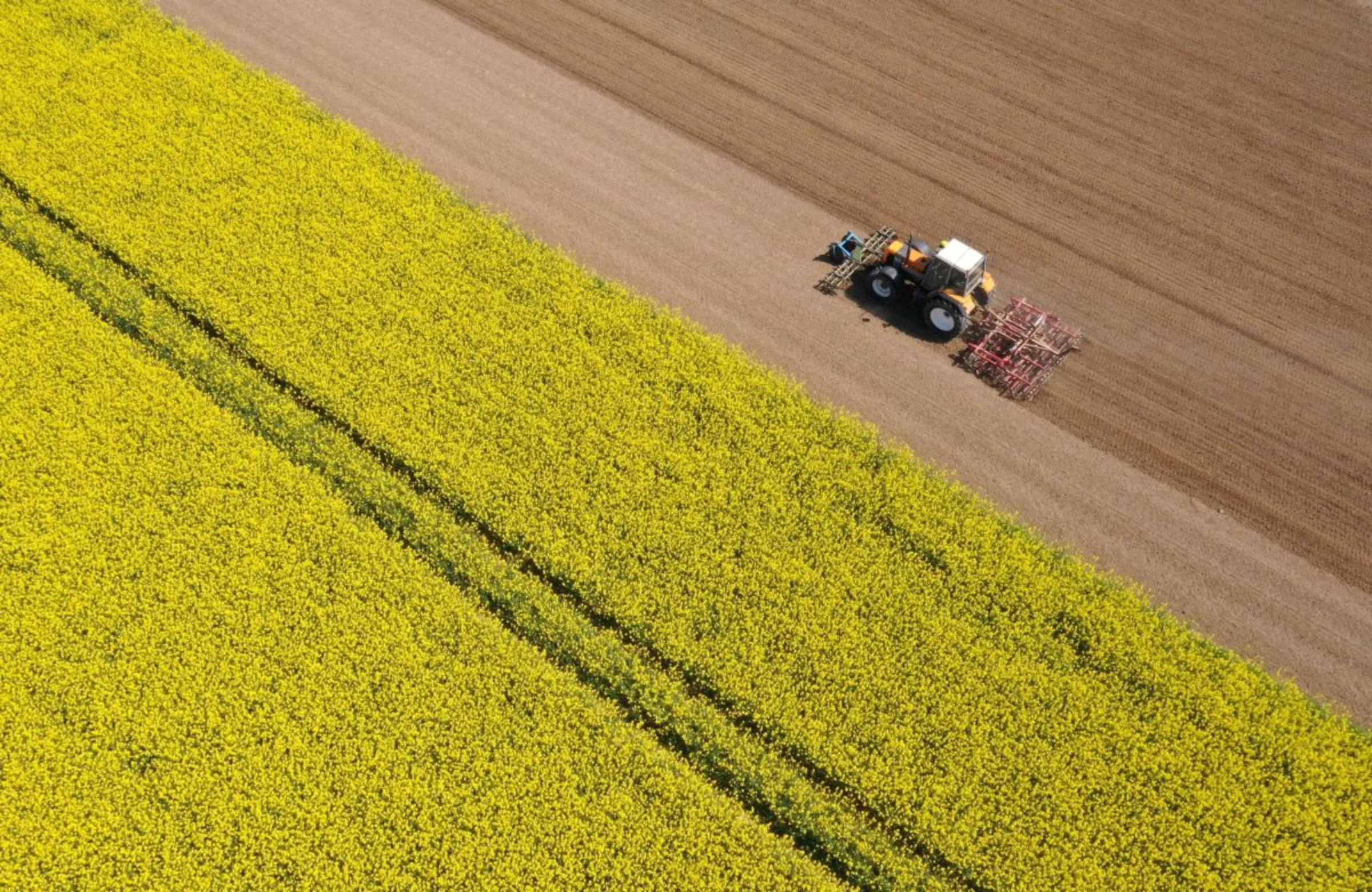 A farmer drives his tractor beside a rapeseed field in Ramillies near Cambrai, France, May 3, 2023