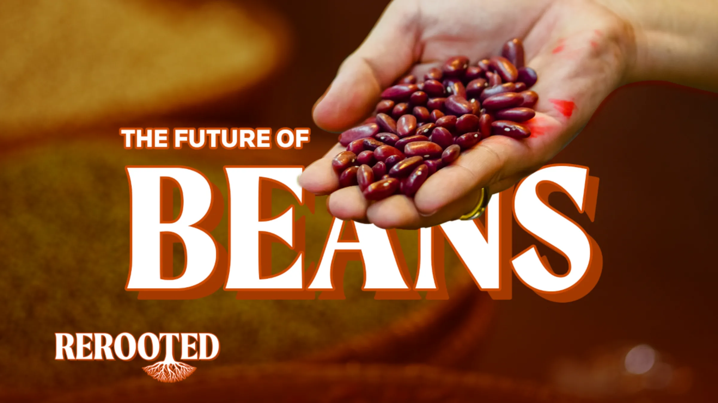 A person shows a handful of beans in this illustration picture. Thomson Reuters Foundation/Karif Wat