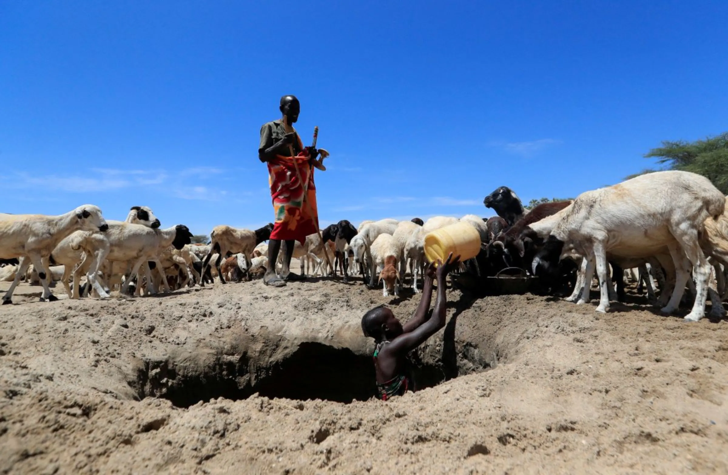 A pastoralist community affected by the worsening drought due to failed rain seasons, watches while his goats drink water collected from an open well dug on a dry riverbed in Loyoro village of Kalokol in Turkana, Kenya September 28, 2022. REUTERS/Thomas Mukoya