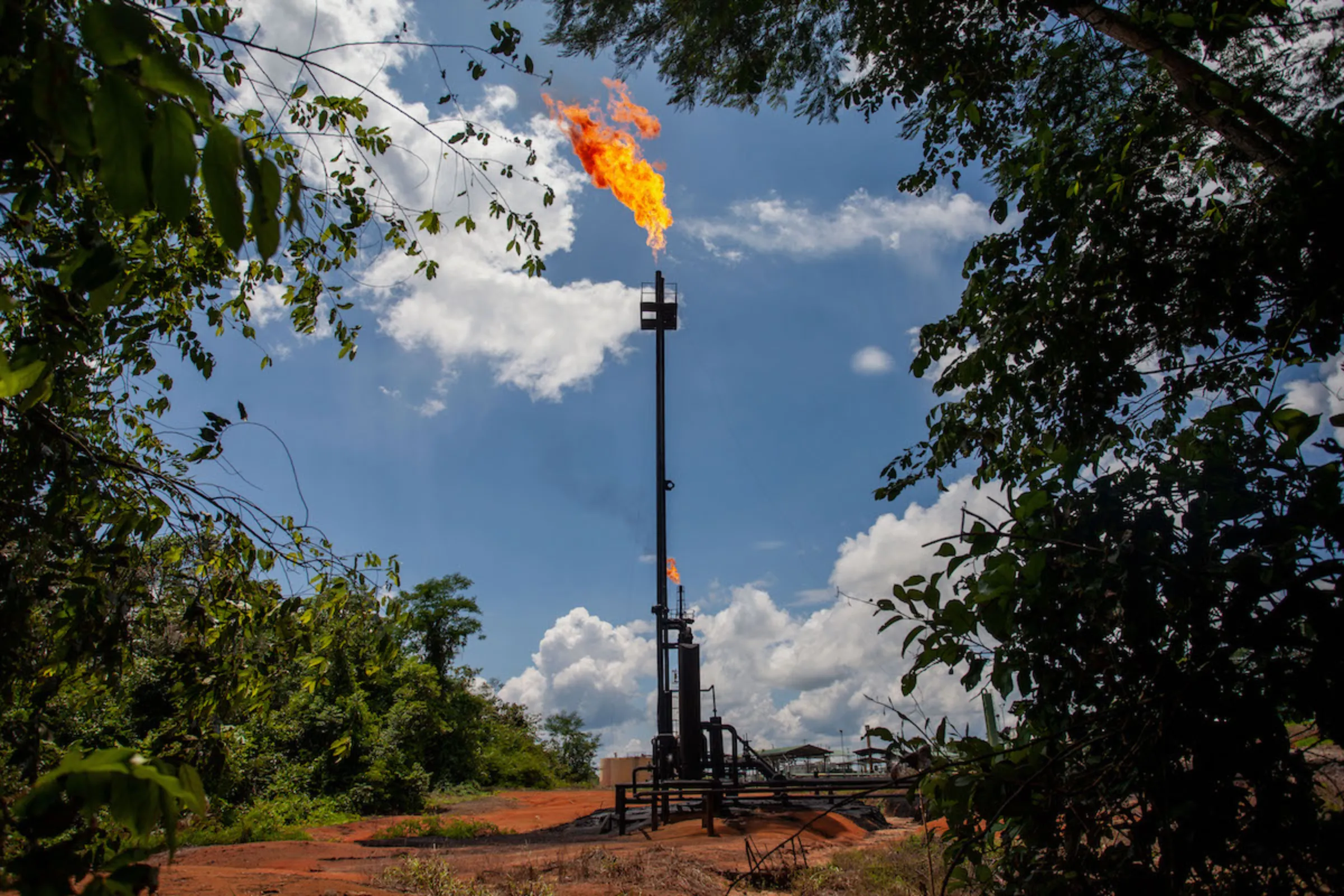 A gas flare burns in the middle of the Amazon rainforest near Lago Agrio, Ecuador. April 23, 2022. Thomson Reuters Foundation/Fabio Cuttica