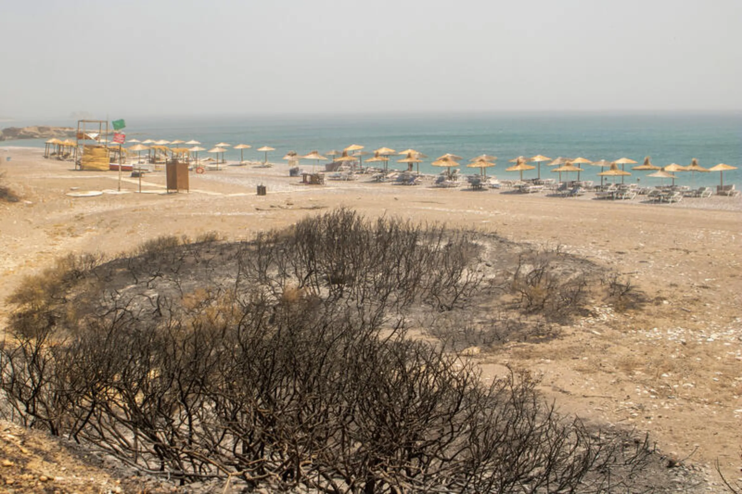 Burned vegetation is seen next to a beach, as a wildfire burns near the village of Kiotari, on the island of Rhodes, Greece, July 24, 2023. REUTERS/Lefteris Damianidis