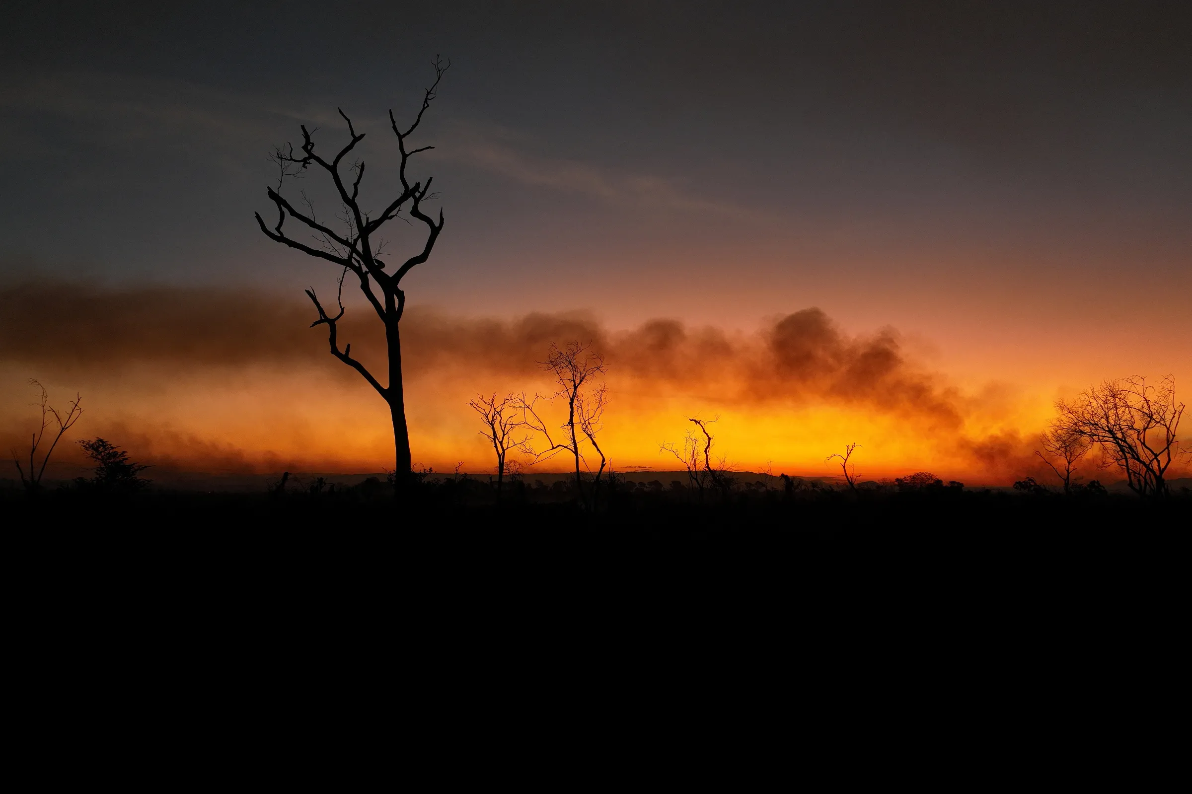 A drone view shows smoke from a fire rising into the air as trees burn amongst vegetation in the Pantanal, in Corumba, Mato Grosso do Sul state, Brazil, June 11, 2024. REUTERS/Ueslei Marcelino