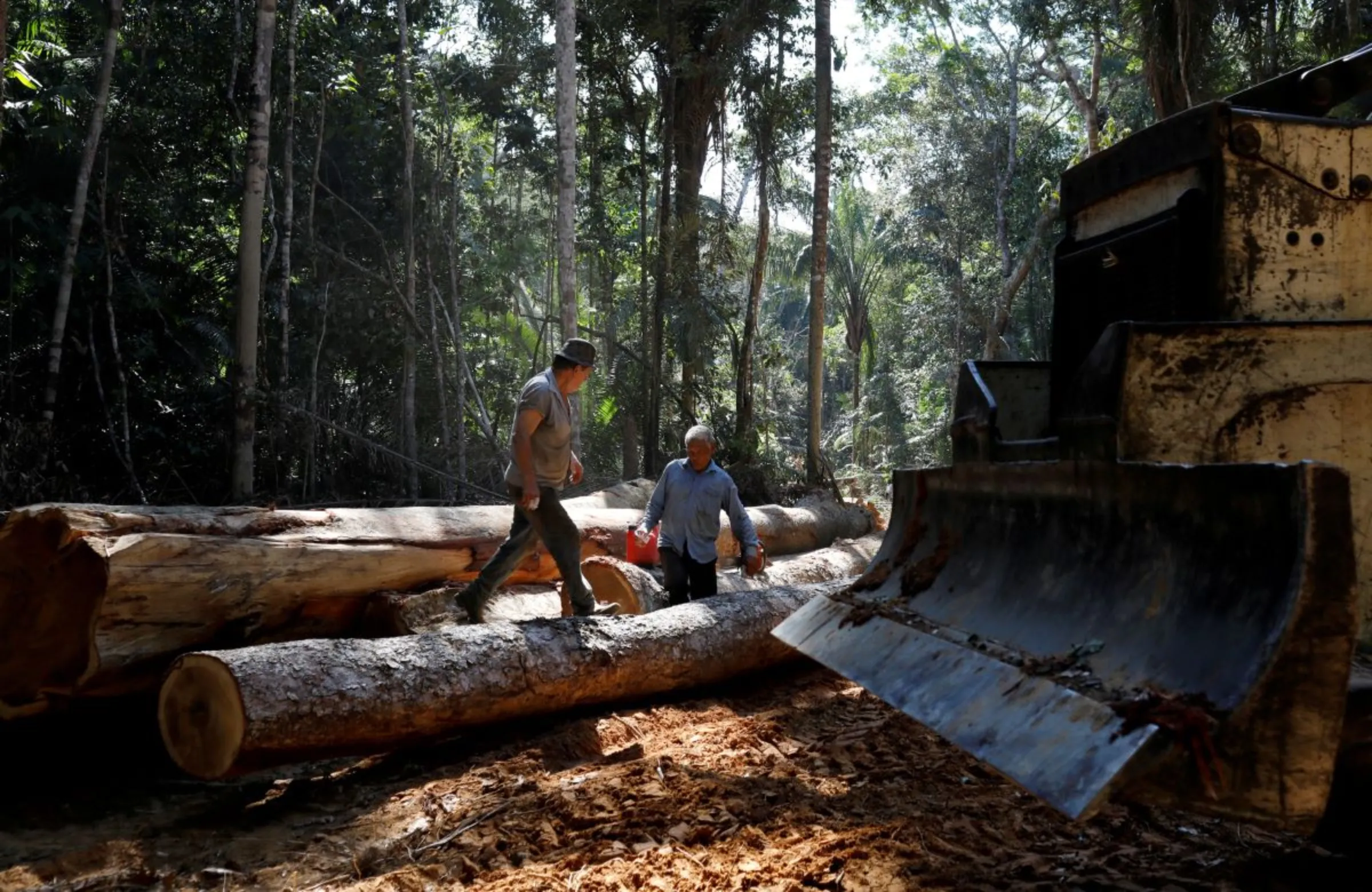 Logs are seen in Bom Retiro deforestation area on the right side of the BR 319 highway near Humaita, Amazonas state, Brazil September 20, 2019. REUTERS/Bruno Kelly