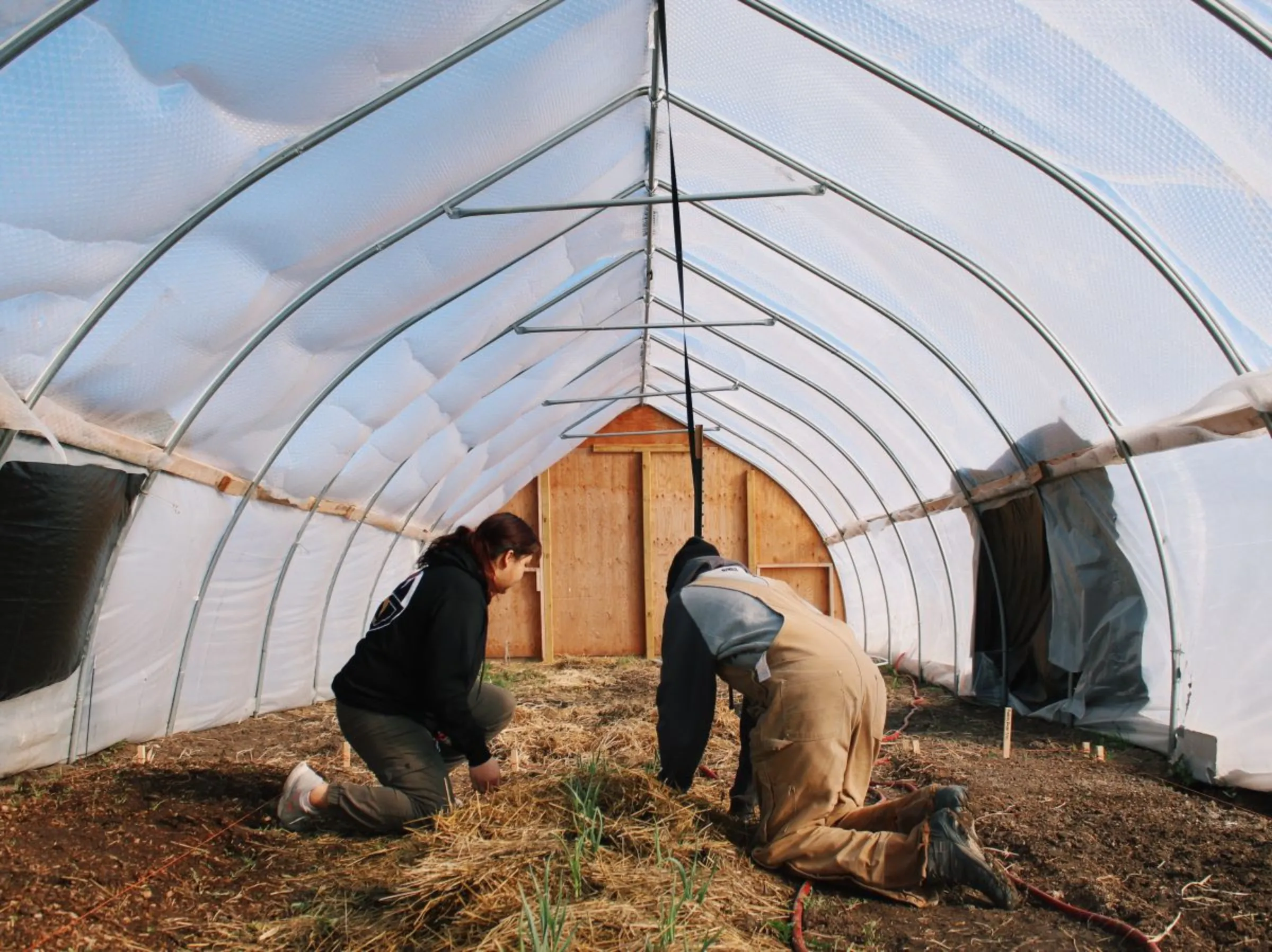 Michelle Huakaas works with a garden intern to pull weeds at the Keya Wakpala Garden, March 2022, South Dakota, USA. Robert Bordeaux/Handout via Thomson Reuters Foundation