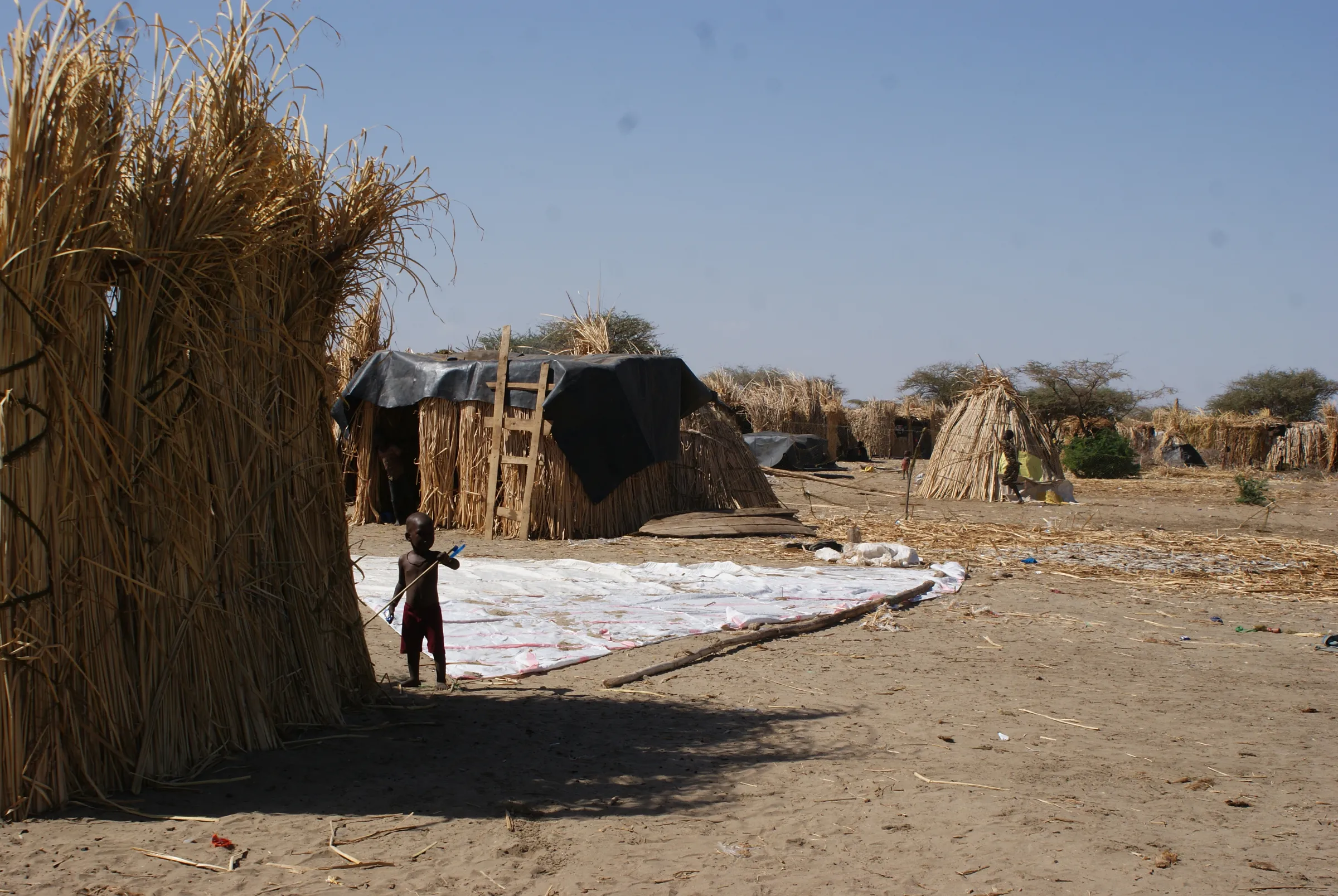 Shelters built with water reeds at a home in Kanamukuny village, northern Kenya, 19 September, 2022. THOMSON REUTERS FOUNDATION/Kagondu Njagi