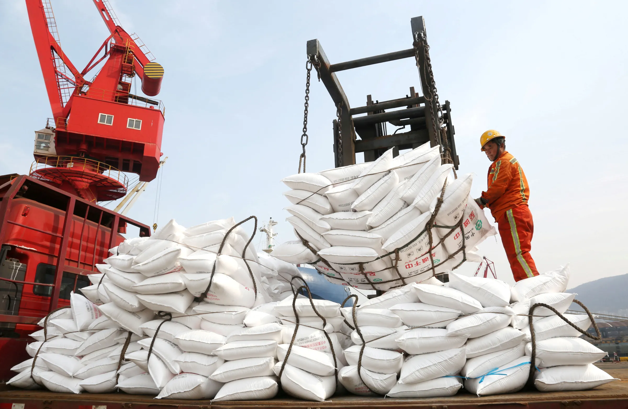 A worker stands next to sacks of fertilisers unloaded from a cargo ship at a port in Lianyungang, Jiangsu province, China February 15, 2025. cnsphoto via REUTERS