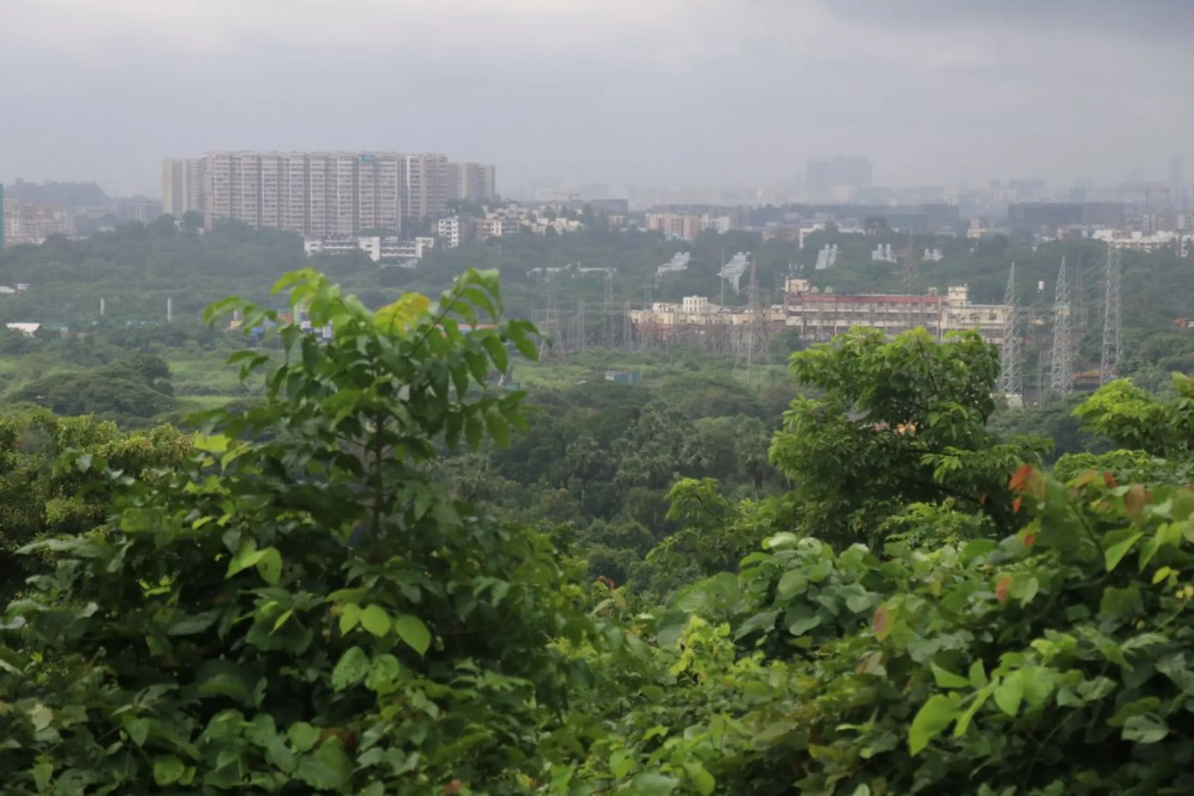 A view of Aarey forest – one of Mumbai’s few remaining green spaces, which was protected from being destroyed for a train parking shed – in Mumbai, India, September 12, 2021