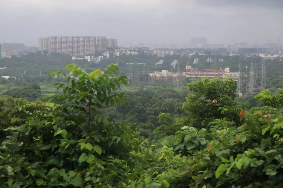 A view of Aarey forest – one of Mumbai’s few remaining green spaces, which was protected from being destroyed for a train parking shed – in Mumbai, India, September 12, 2021