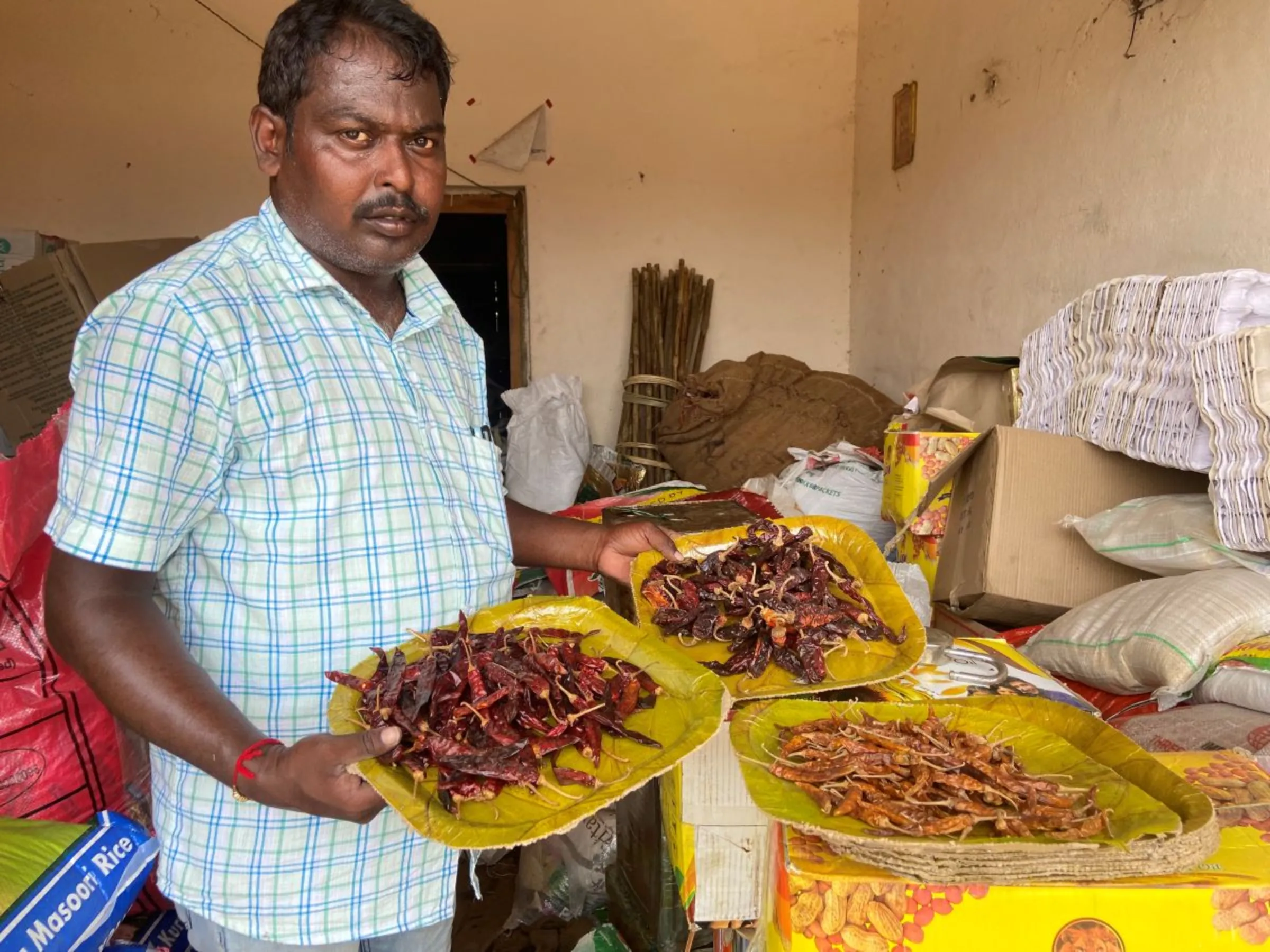 Farmer P. Sabarinath shows the red chilli produced on his natural farm in Atlapragada Konduru village, Andhra Pradesh state, India, September 1, 2023. Thomson Reuters Foundation/Roli Srivastava