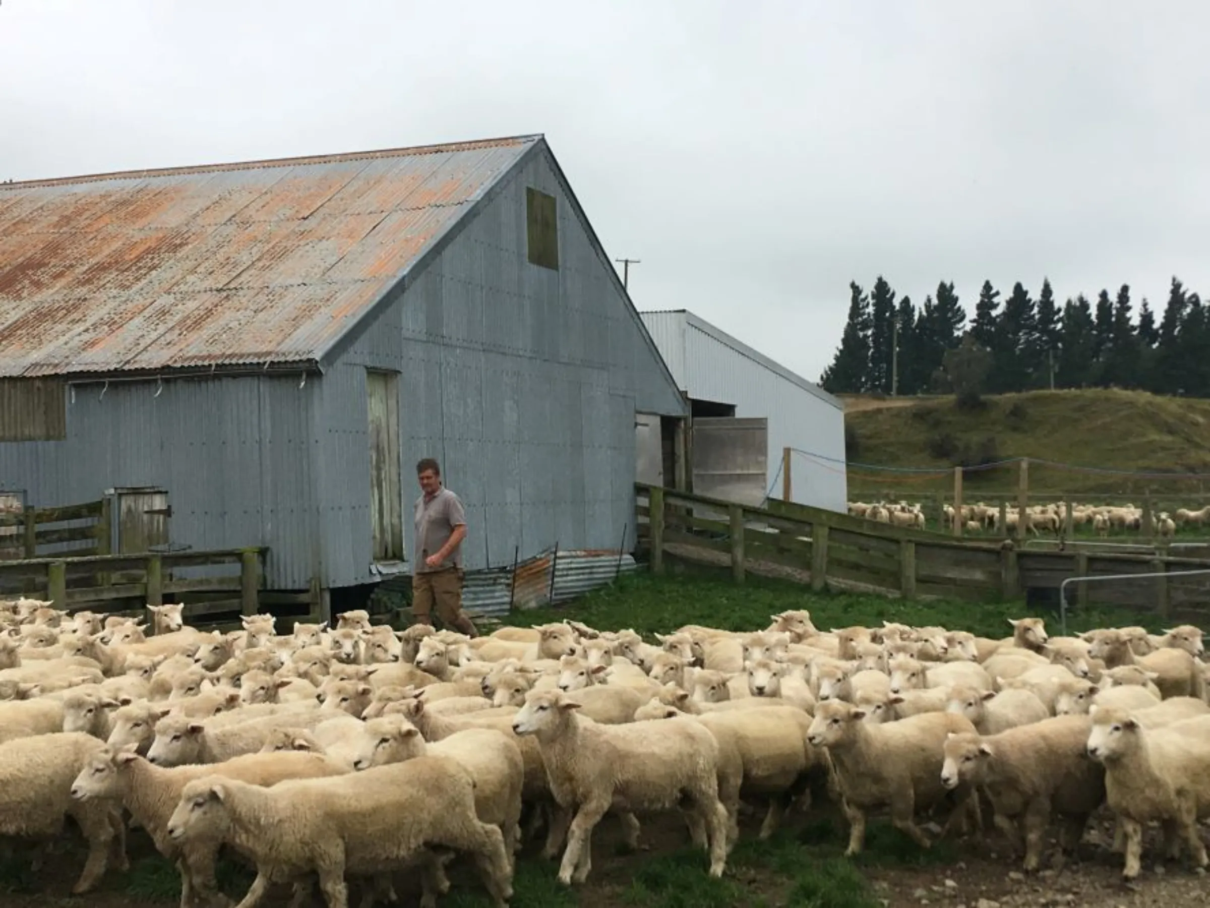 A man works in his yard on his farm at Mt Somers, outside Christchurch, New Zealand March 20, 2019