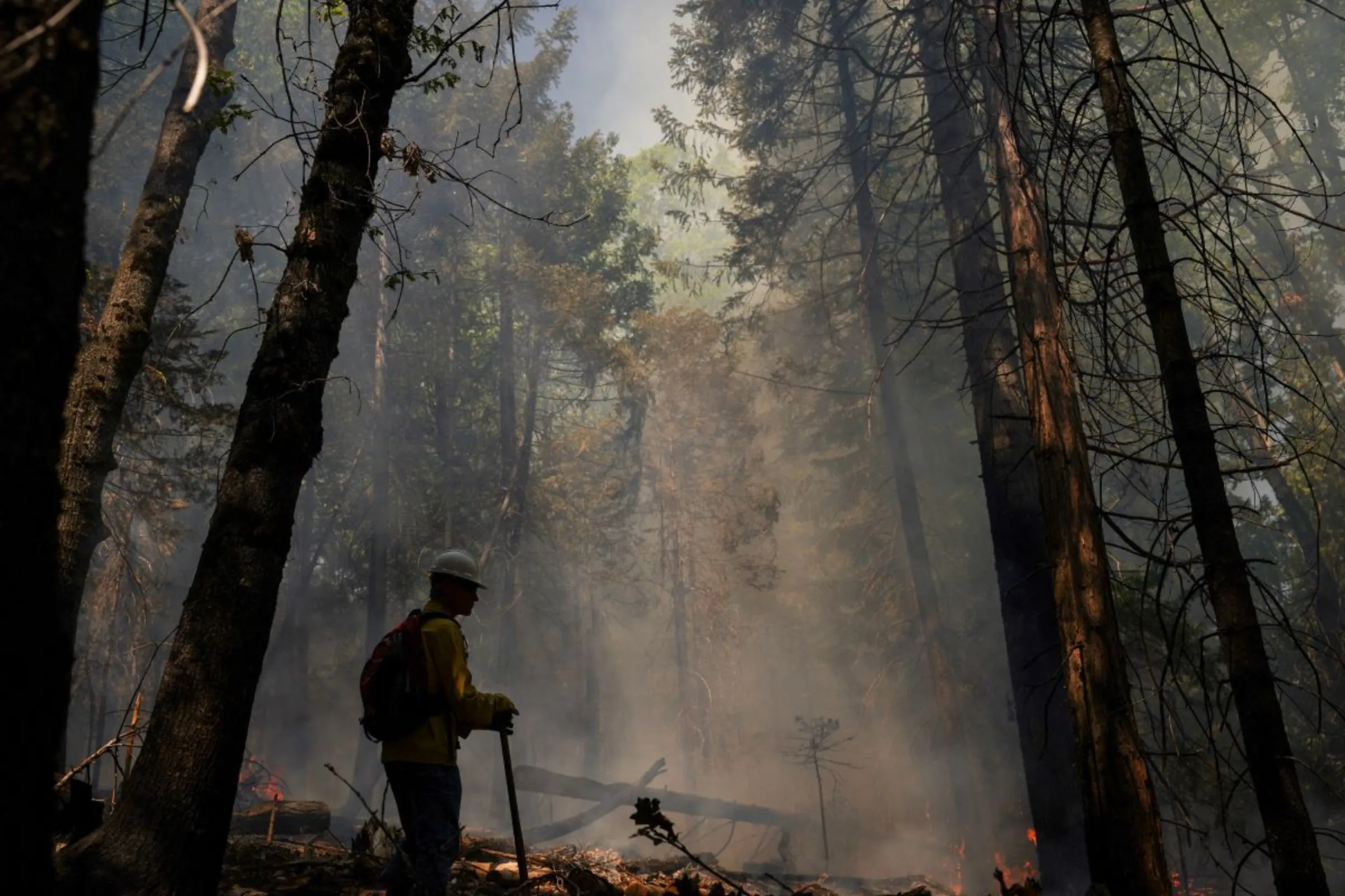 A volunteer takes part in a broadcast burn in advance of wildfire season near Blodgett Forest Research Station in Georgetown, California, U.S., May 20, 2023. REUTERS/Loren Elliott